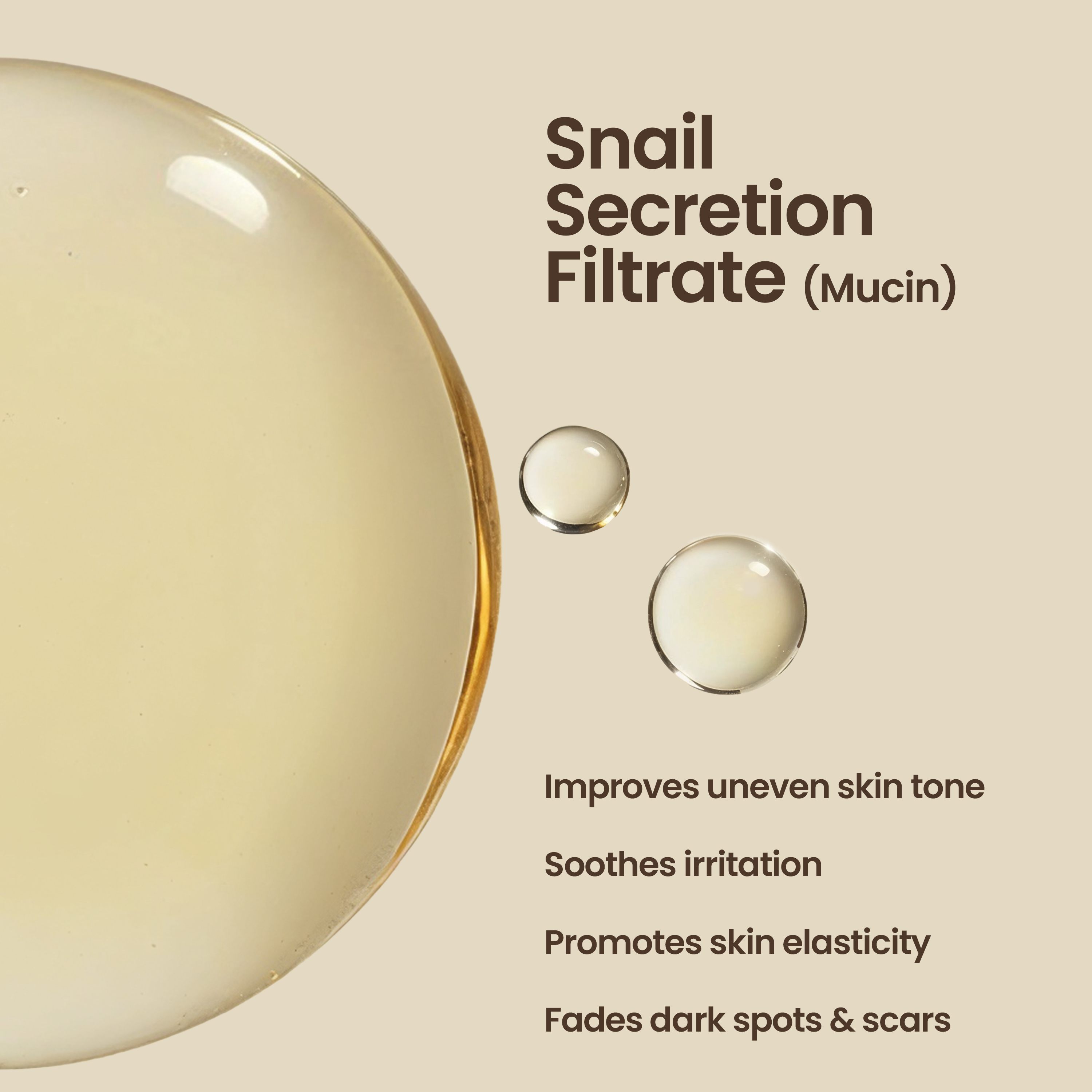 Snail Mucin Essence